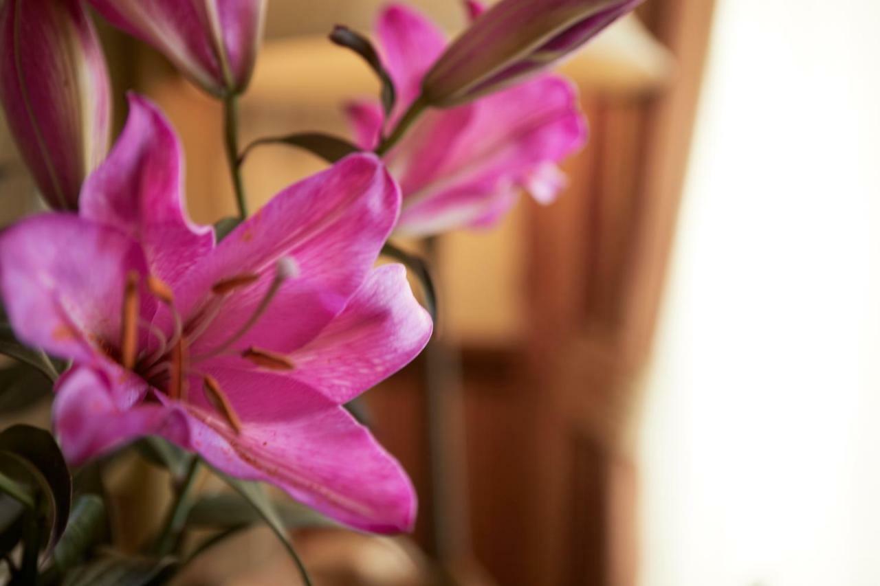 Ashburton House - B&B Scarborough Bagian luar foto